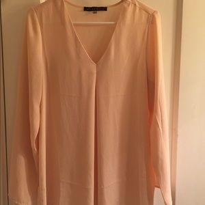 Blush sheer blouse